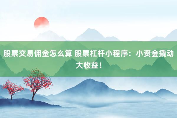 股票交易佣金怎么算 股票杠杆小程序：小资金撬动大收益！