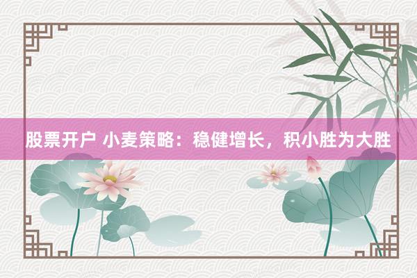 股票开户 小麦策略：稳健增长，积小胜为大胜