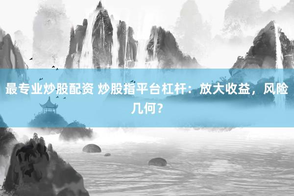 最专业炒股配资 炒股指平台杠杆：放大收益，风险几何？