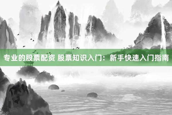 专业的股票配资 股票知识入门：新手快速入门指南