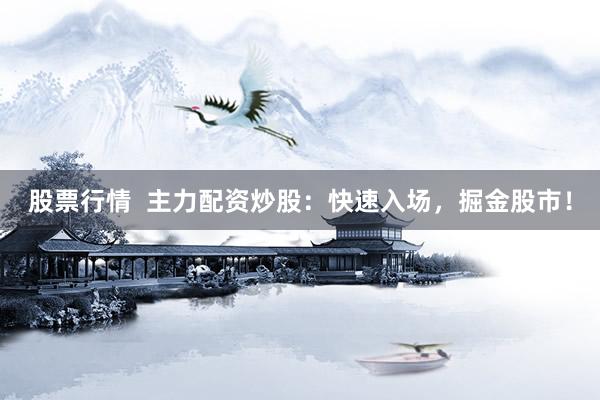 股票行情  主力配资炒股：快速入场，掘金股市！
