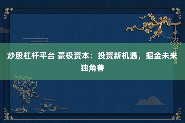 炒股杠杆平台 豪极资本：投资新机遇，掘金未来独角兽