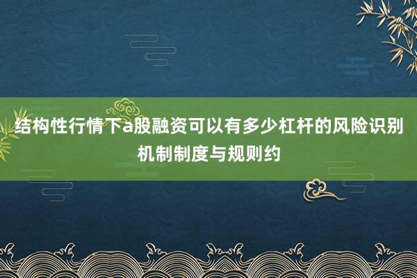 结构性行情下a股融资可以有多少杠杆的风险识别机制制度与规则约