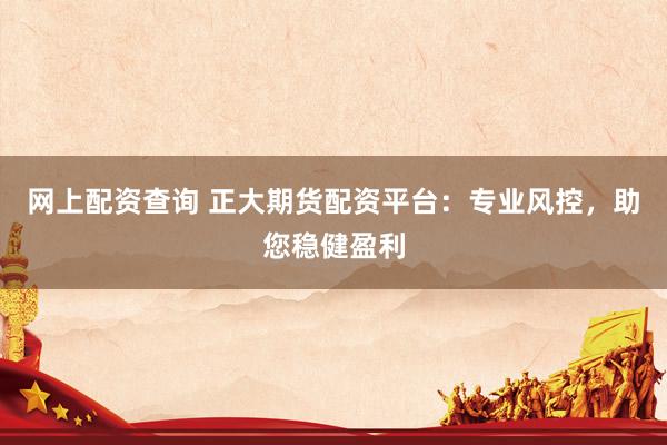 网上配资查询 正大期货配资平台:专业风控,助您稳健盈利