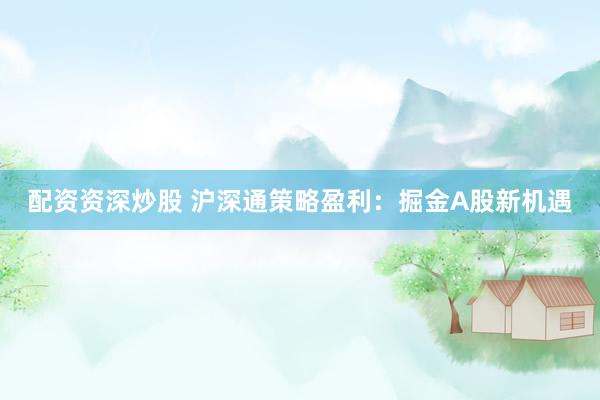 配资资深炒股 沪深通策略盈利:掘金A股新机遇