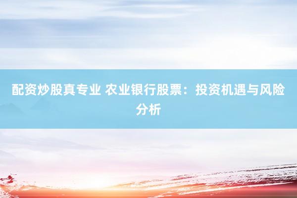 配资炒股真专业 农业银行股票：投资机遇与风险分析