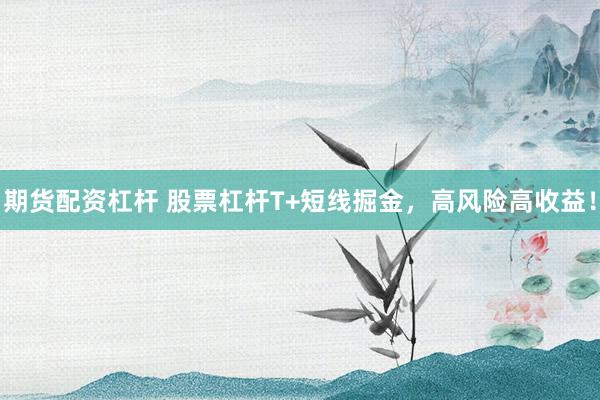 期货配资杠杆 股票杠杆T+短线掘金，高风险高收益！