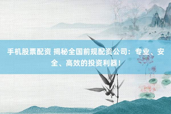 手机股票配资 揭秘全国前规配资公司：专业、安全、高效的投资利器！